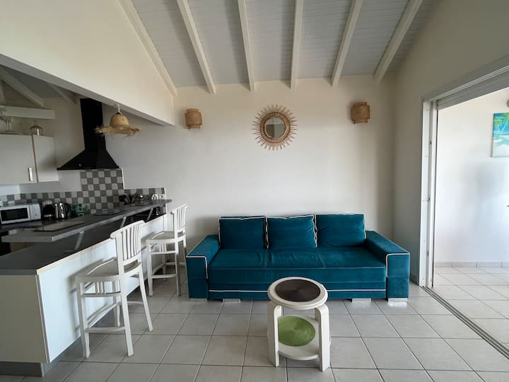 Appartement T3 - Vue mer - Sainte-Luce